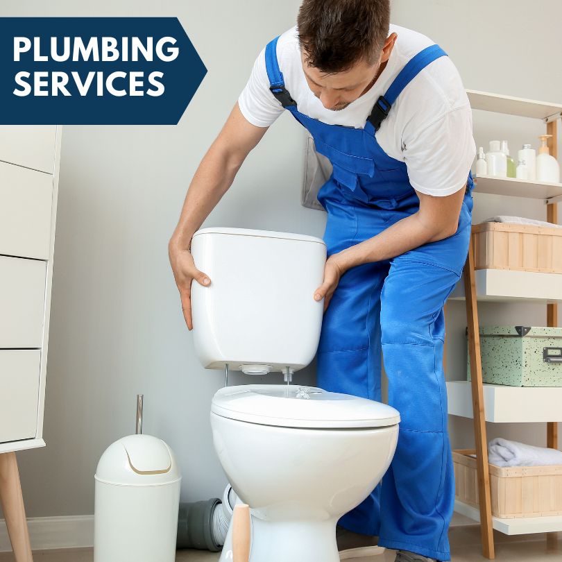 Plumbing Company in Osteen, FL